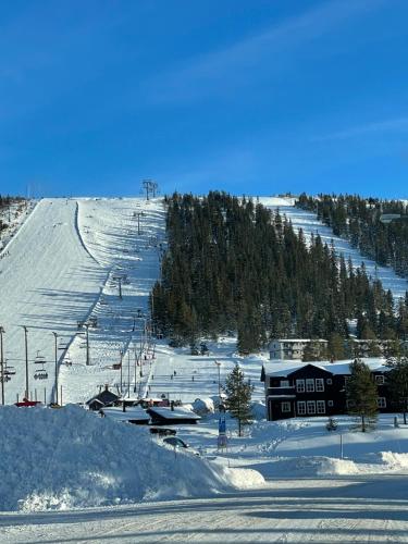 SÄLEN, Ski in-Ski out, Lägenhet 8F Grå Byn, Sälen (fotografie 9)