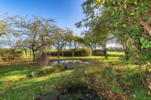 Hof Garz Wohnung Apfelgarten Hof Garz Wohnung Apfelgarten