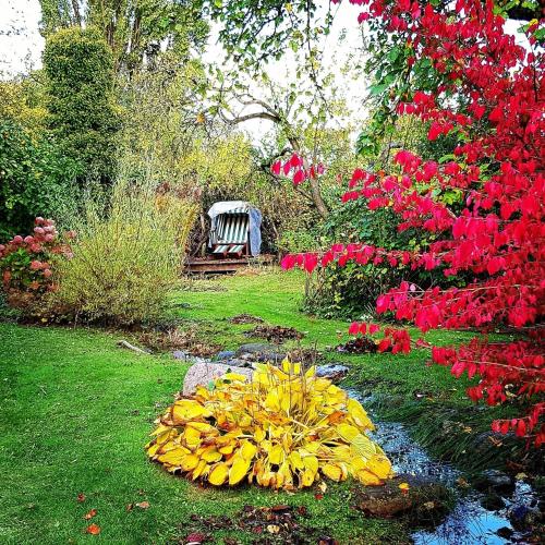 Hof Garz Wohnung Apfelgarten Hof Garz Wohnung Apfelgarten