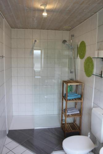 Ferienhaus Steen in Gollendorf