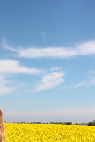 Ferienwohnung "Mowennest" in Todendorf