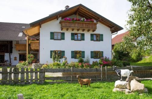 Ferienwohnung Mohnblume in Burggen, Deutschland