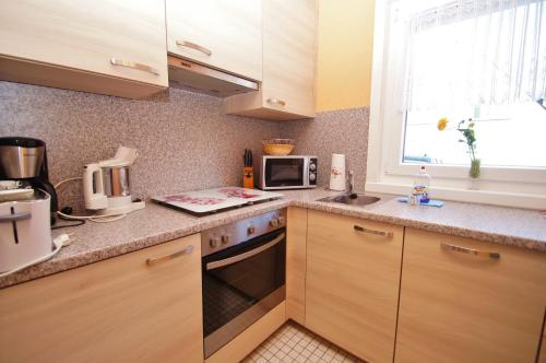 Seeschwalbe in Dahme