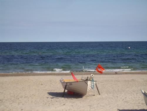 Seeschwalbe in Dahme