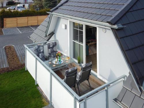 Lachmöwe 03 (Lachmowe 03) in Zingst