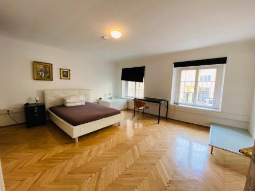 Wohnung, 3 Zimmer, eines davon Durchgangszimmer, ruhig, Graz Zentrum, Štýrský Hradec (fotografie 6)
