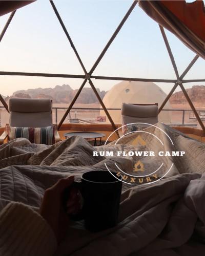 RUM FLOWER lUXURY CAMP in Wadi Rum