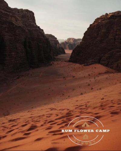RUM FLOWER lUXURY CAMP in Wadi Rum