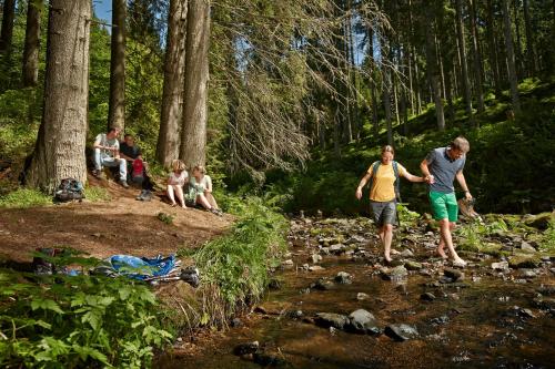 Apartmenthaus Drei Tannen - Wohnung 4 Titisee Feldberg - [#a34890] - image 14