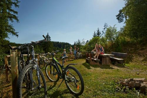 Apartmenthaus Drei Tannen - Wohnung 7 Titisee Feldberg - [#a43170] - image 7