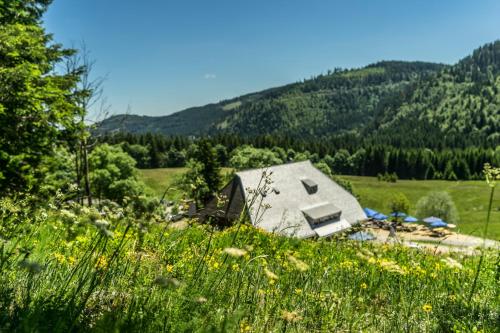 Apartmenthaus Drei Tannen - Wohnung 7 Titisee Feldberg - [#a43170] - image 3