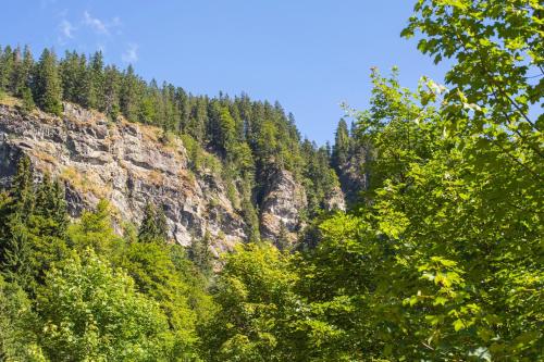 Apartmenthaus Drei Tannen - Wohnung 7 Titisee Feldberg - [#a43170] - image 11