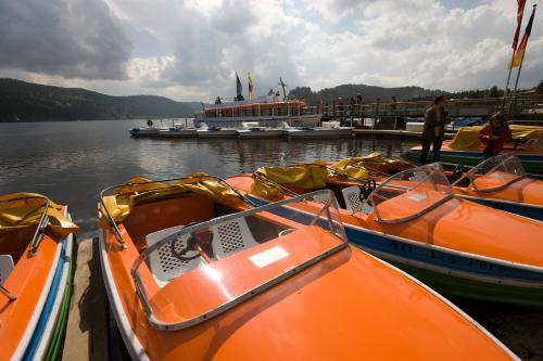 Apartmenthaus Drei Tannen - Wohnung 7 Titisee Feldberg - [#a43170] - image 8