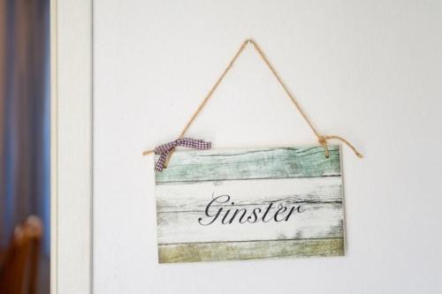Ginster in Graal-Müritz, Deutschland