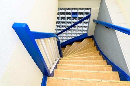 Strandhafer Strandhafer