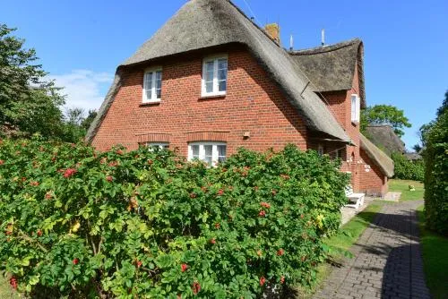 Drei Krabben in Süderende, Deutschland
