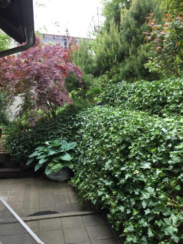 Ferienwohnung Luna Ferienwohnung Luna