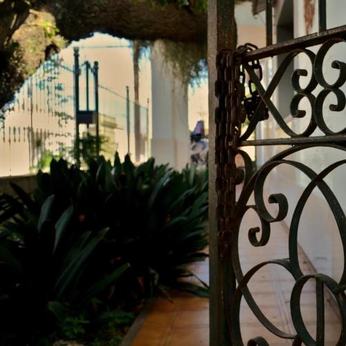 Casa del arbol hostel