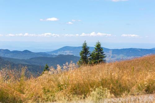 Apartmenthaus Drei Tannen - Wohnung 6 Titisee Feldberg - [#a43147] - image 4