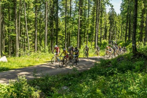 Apartmenthaus Drei Tannen - Wohnung 6 Titisee Feldberg - [#a43147] - image 14