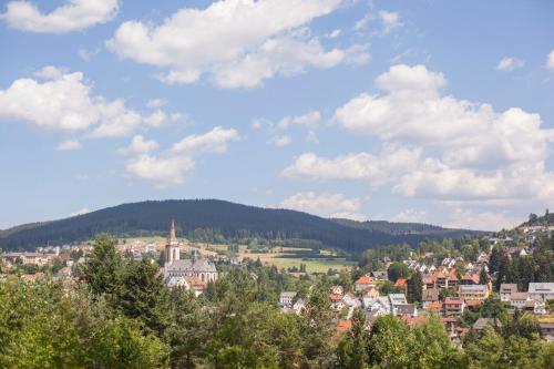 Apartmenthaus Drei Tannen - Wohnung 9 Titisee Feldberg - [#a43172] - image 11