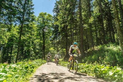 Apartmenthaus Drei Tannen - Wohnung 9 Titisee Feldberg - [#a43172] - image 5