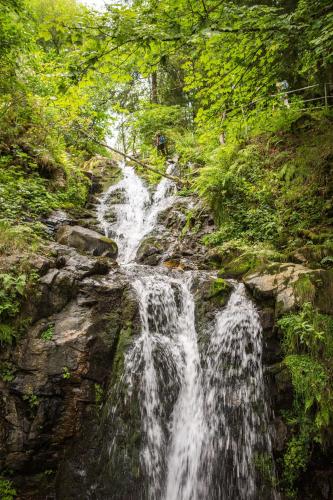 Apartmenthaus Drei Tannen - Wohnung 9 Titisee Feldberg - [#a43172] - main image