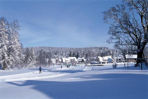 Apartmenthaus Drei Tannen - Wohnung 9 Titisee Feldberg - [#a43172] - image 4