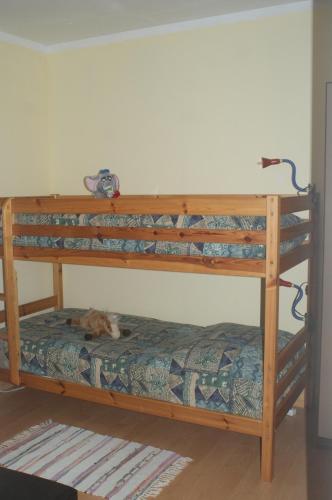 Ferienhaus Moser - Hart