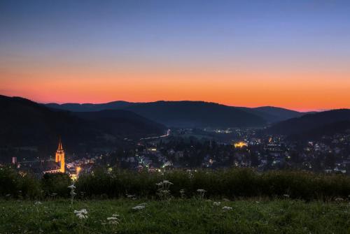 Apartmenthaus Drei Tannen - Wohnung 10 Titisee Feldberg - [#a43290] - main image