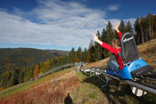 Apartmenthaus Drei Tannen - Wohnung 10 Titisee Feldberg - [#a43290] - image 10