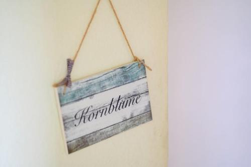 Kornblume in Graal-Müritz, Deutschland