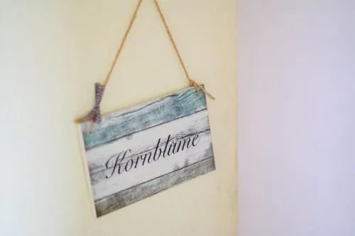 Kornblume in Graal-Müritz, Deutschland