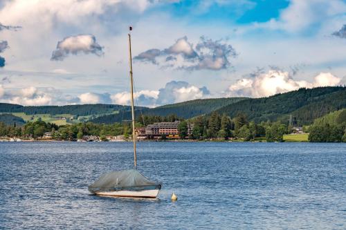 Drei Tannen - Wohnung 11 - Apartmenthaus, Titisee, Feldberg 1.7km von Siedelbach entfernt