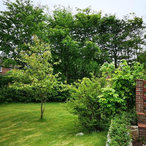 Haus Heike Whg EG - a45702 - image 3