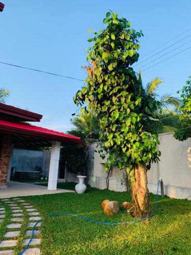 Villa image 6