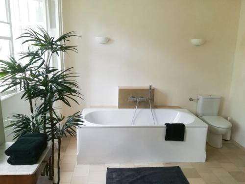 Ferienwohnung Hofmarkrichterhaus - a45186 - image 5
