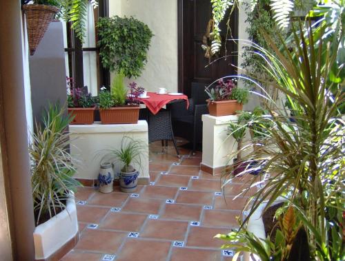 Ferienwohnung mit kleiner Innenhof-Terrasse im mediterranen Stil - Cañadas del Teide