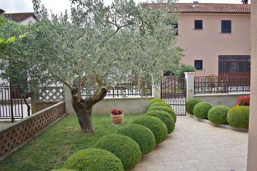 Apartments Tina & Denis - image 3