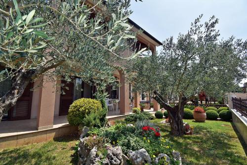 Apartments Tina & Denis - image 6
