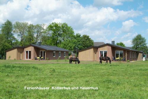 Bauernhof Sauer - Kötterhus - 96389 - image 5