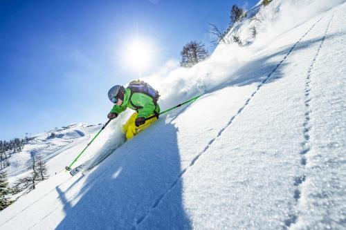  Apartment In Flachau with balcony in Flachau