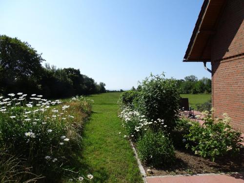 Friesenhof Dahme Wohnung 2 - a53100 - image 12