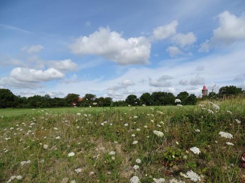 Friesenhof Dahme Wohnung 2 - a53100 - image 3