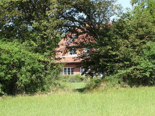 Friesenhof Dahme Wohnung 2 - a53100 - image 11