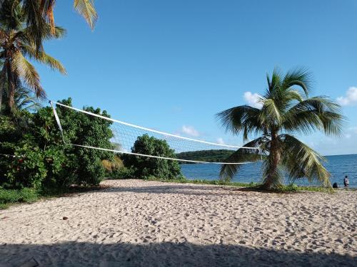 Suite 9 Maga in Vieques Island