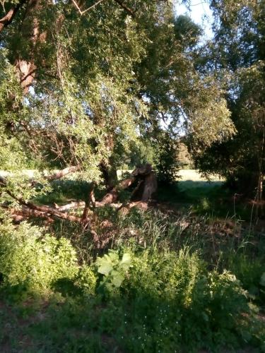 La Vida Suite 3.2km von Störitzseestraße entfernt