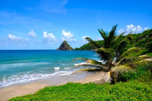 Instalaciones, 2 Bungalows avec Piscine in Le Marigot