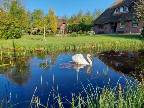 Giethoorn Lodge in Overig Giethoorn-Noord