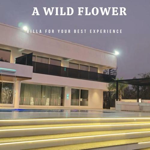 A Wild Flower